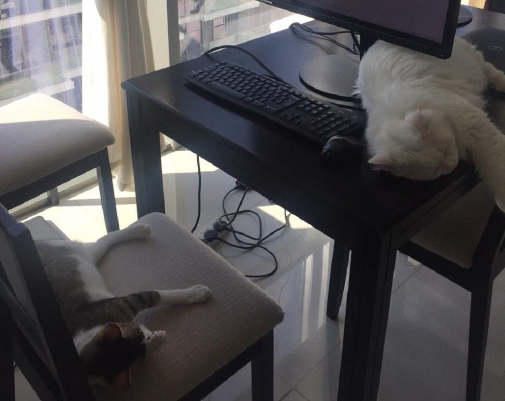 Tutu & Maxi